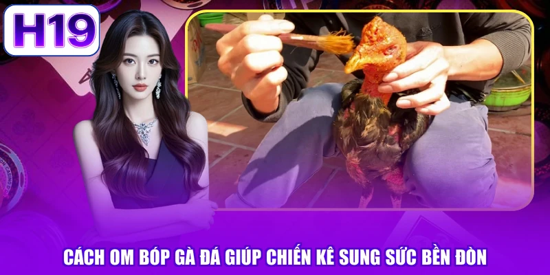 Cách Om Bóp Gà Đá Giúp Chiến Kê Sung Sức Bền Đòn