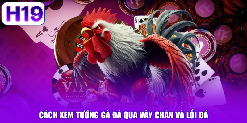 Cách xem tướng gà đá qua vảy chân và lối đá