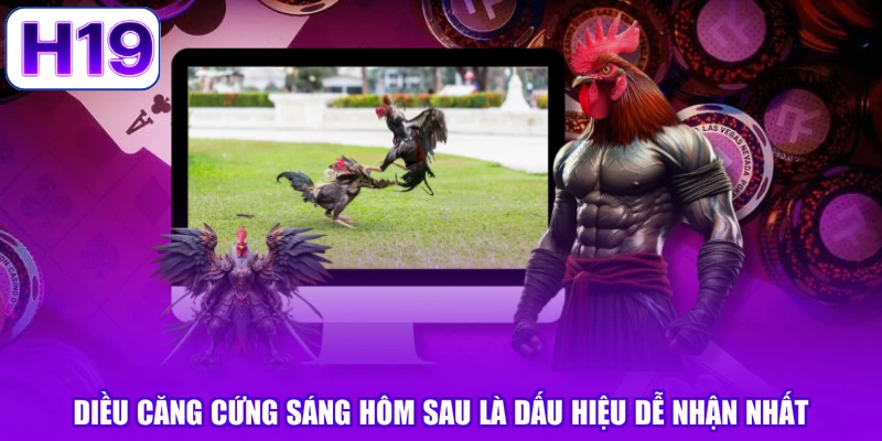 Diều căng cứng sáng hôm sau là dấu hiệu dễ nhận nhất