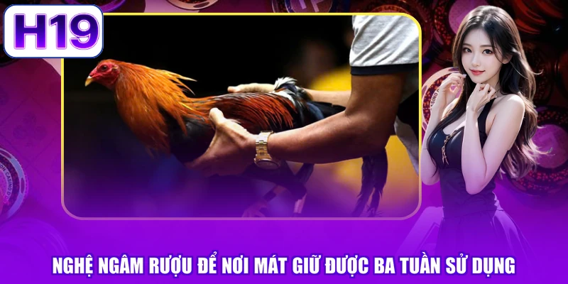 Nghệ ngâm rượu để nơi mát giữ được ba tuần sử dụng