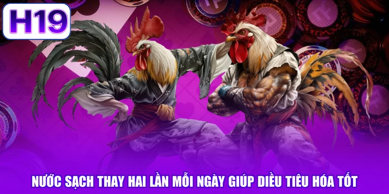 Nước sạch thay hai lần mỗi ngày giúp diều tiêu hóa tốt