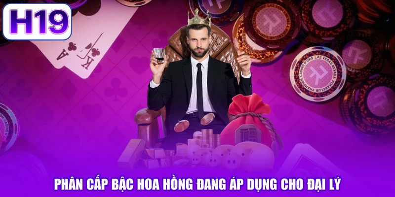 Phân cấp bậc hoa hồng đang áp dụng cho đại lý